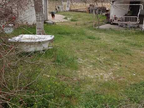 Pirşağı q.