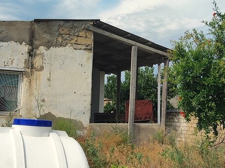 Pirşağı q.