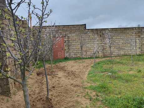 Elan №6239017 - Bakı, Türkan q., 8 sot
