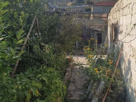 Zığ q.