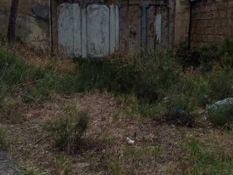Elan №6239350 - Bakı, Görədil q., 16.5 sot