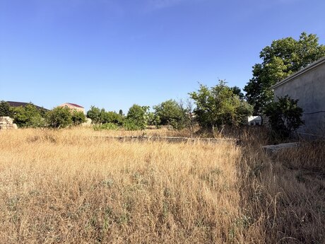 Elan №6241423 - Bakı, Albalılıq q., 11 sot