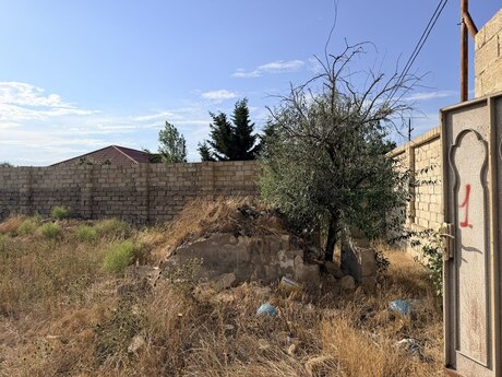 Elan №6241429 - Bakı, Albalılıq q., 7.5 sot