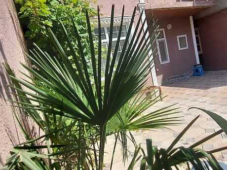 5 otaqlı həyət evi, 140 m², Masazır: 89 000 ₼ 2