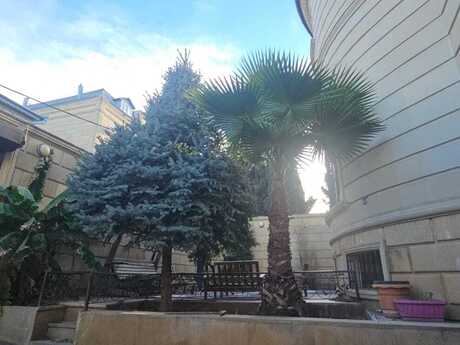 6 otaqlı həyət evi/bağ evi - Nəsimi m. - 500 m²
