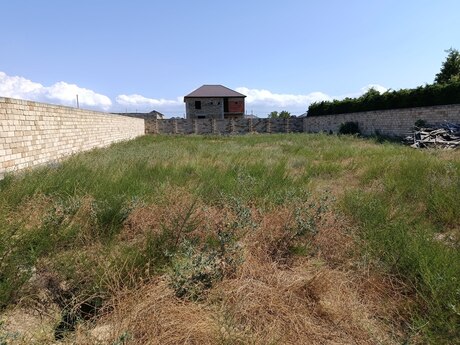 Novxanı q.