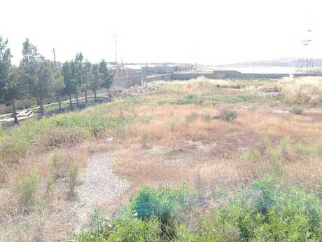 Atyalı q.