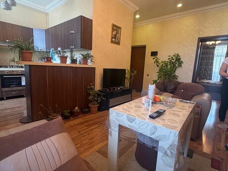 м. Элмляр Академиясы