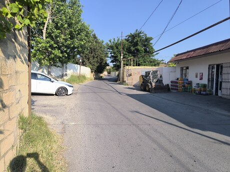 Novxanı q.