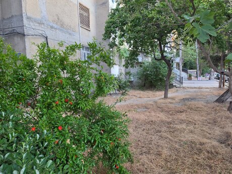 3 otaqlı mənzil, 75 m², Bakıxanov: 172 000 ₼ 5