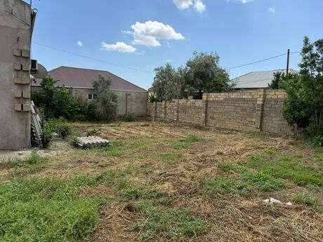 Elan №6245391 - Bakı, Nardaran q., 4 sot