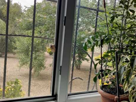 3 otaqlı həyət evi, 67 m², Novxanı: 120 000 ₼ 4