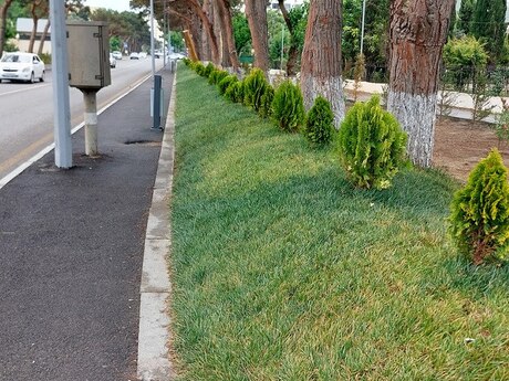 5 otaqlı həyət evi, 193 m², Qaraçuxur: 280 000 ₼ 3