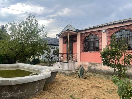 Novxanı q.