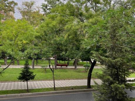 Объявление №6245922 - Баку, Насиминский  р., 3-комн., 90 м², 4/5 этаж