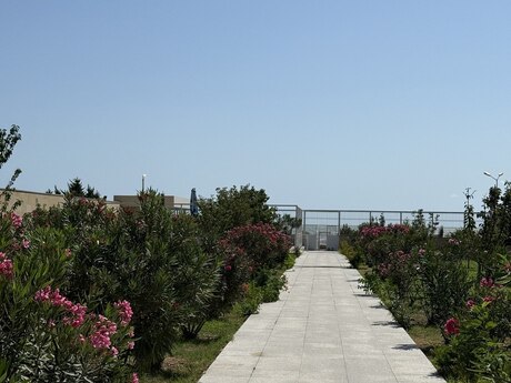 8 otaqlı həyət evi, 600 m², Türkan: 830 000 ₼ 3