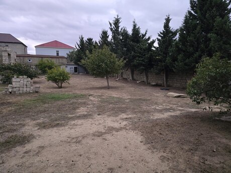 Torpaq - Albalılıq q. - 12 sot