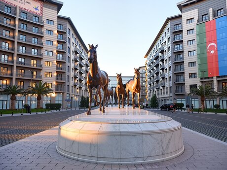 Elan №6248022 - Bakı, Ağ şəhər q., 1 otaqlı, 50 m², 8/8 mərtəbə