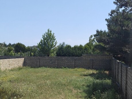Pirşağı q.