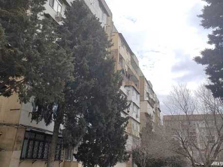 пос. Бакиханова