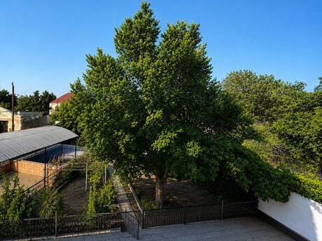 5-комн. дом/дача - пос. Новханы - 220 м²