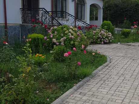 6-комн. дом/дача - Габала - 460 м²