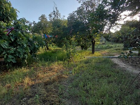 5 otaqlı həyət evi, 200 m², Maştağa: 205 000 ₼ 5