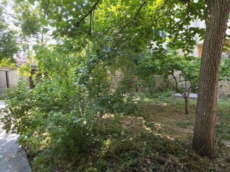 5 otaqlı həyət evi, 160 m², Bakıxanov: 350 000 ₼ 4