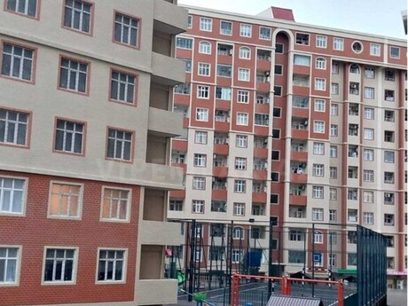 Masazır q.