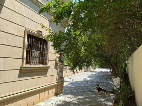 4 otaqlı həyət evi, 250 m², Novxanı: 400 000 ₼ 4