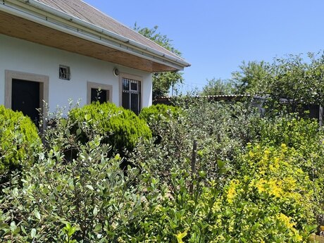 2 otaqlı həyət evi, 60 m², Novxanı: 95 000 ₼ 2