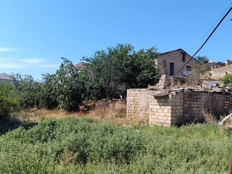 Elan №6250062 - Bakı, Masazır q., 16 sot