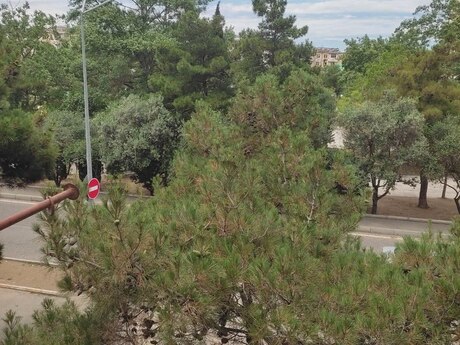 2 otaqlı mənzil, 32 m², Xalqlar Dostluğu: 133 000 ₼ 3