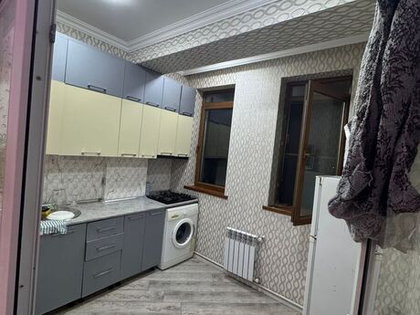 Masazır q.