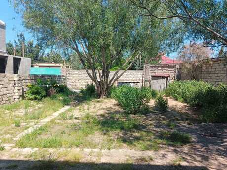 5 otaqlı həyət evi, 200 m², Buzovna: 263 000 ₼ 2