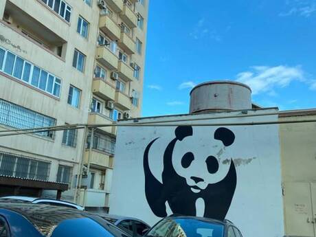 Объявление №6254024 - Баку, м. Нариман Нариманов, 2-комн., 70 м², 5/16 этаж