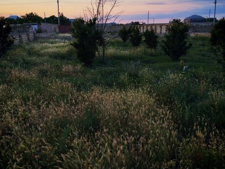 Torpaq - Sumqayıt - 6 sot