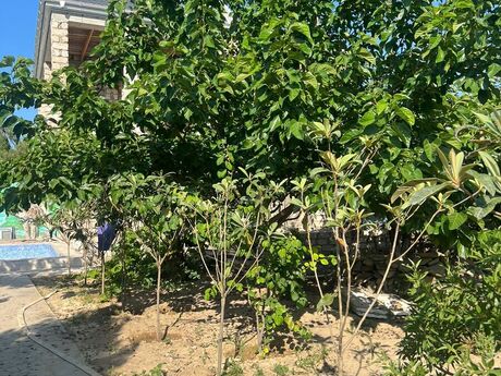 4 otaqlı həyət evi/bağ evi - Buzovna q. - 150 m²