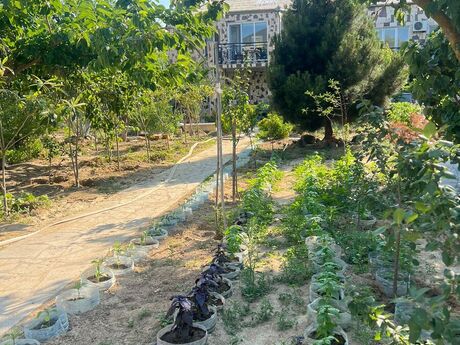 4 otaqlı həyət evi/bağ evi - Buzovna q. - 150 m²