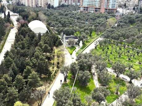 3 otaqlı mənzil, 133 m², Nəsimi: 365 000 ₼ 2
