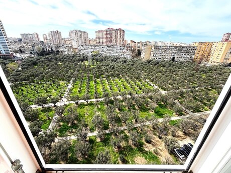 3 otaqlı mənzil, 133 m², Nəsimi: 365 000 ₼ 3