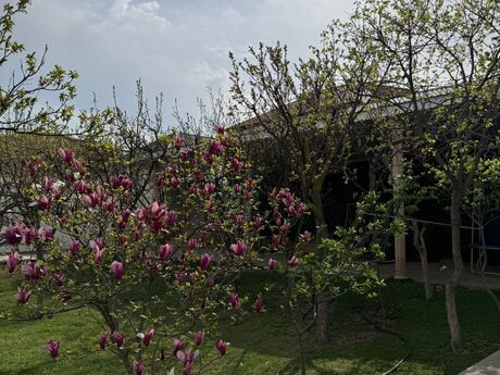 Elan №6256128 - Bakı, Novxanı q., 4 otaqlı, 200 m²