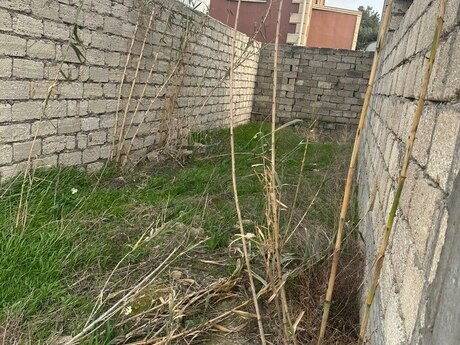 7 otaqlı həyət evi, 350 m², Mərdəkan: 235 000 ₼ 3
