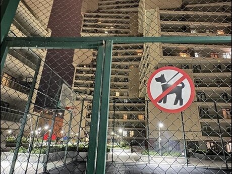 3 otaqlı mənzil, 103 m², 8 Noyabr: 305 000 ₼ 5