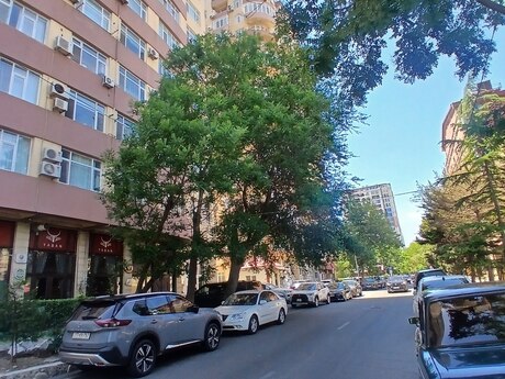 5 otaqlı mənzil, 410 m², Nəsimi: 850 000 ₼ 2
