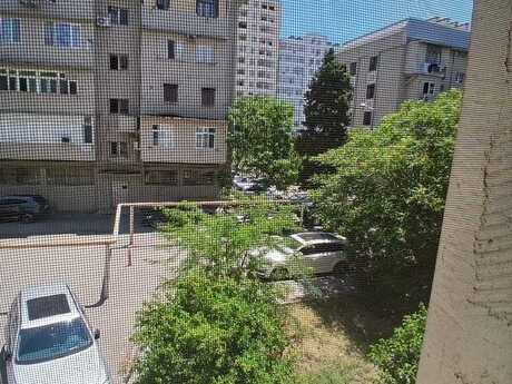 Elan №6259277 - Bakı, Gənclik m., 2 otaqlı, 50 m², 2/5 mərtəbə