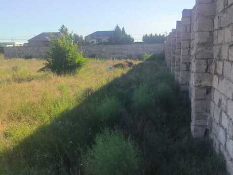 Elan №6259676 - Bakı, Nardaran q., 12 sot