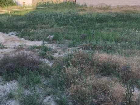 Elan №6260094 - Bakı, Maştağa q., 3 sot