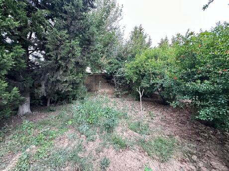 Torpaq - Mehdiabad q. - 5 sot
