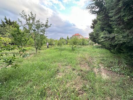 Elan №6260580 - Bakı, Mehdiabad q., 5 sot